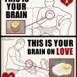 this is your brain on love funny